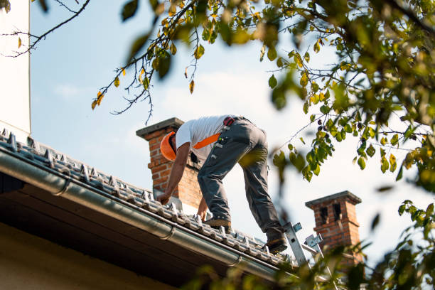 Best Best Roofing Contractors  in Springfield, SD